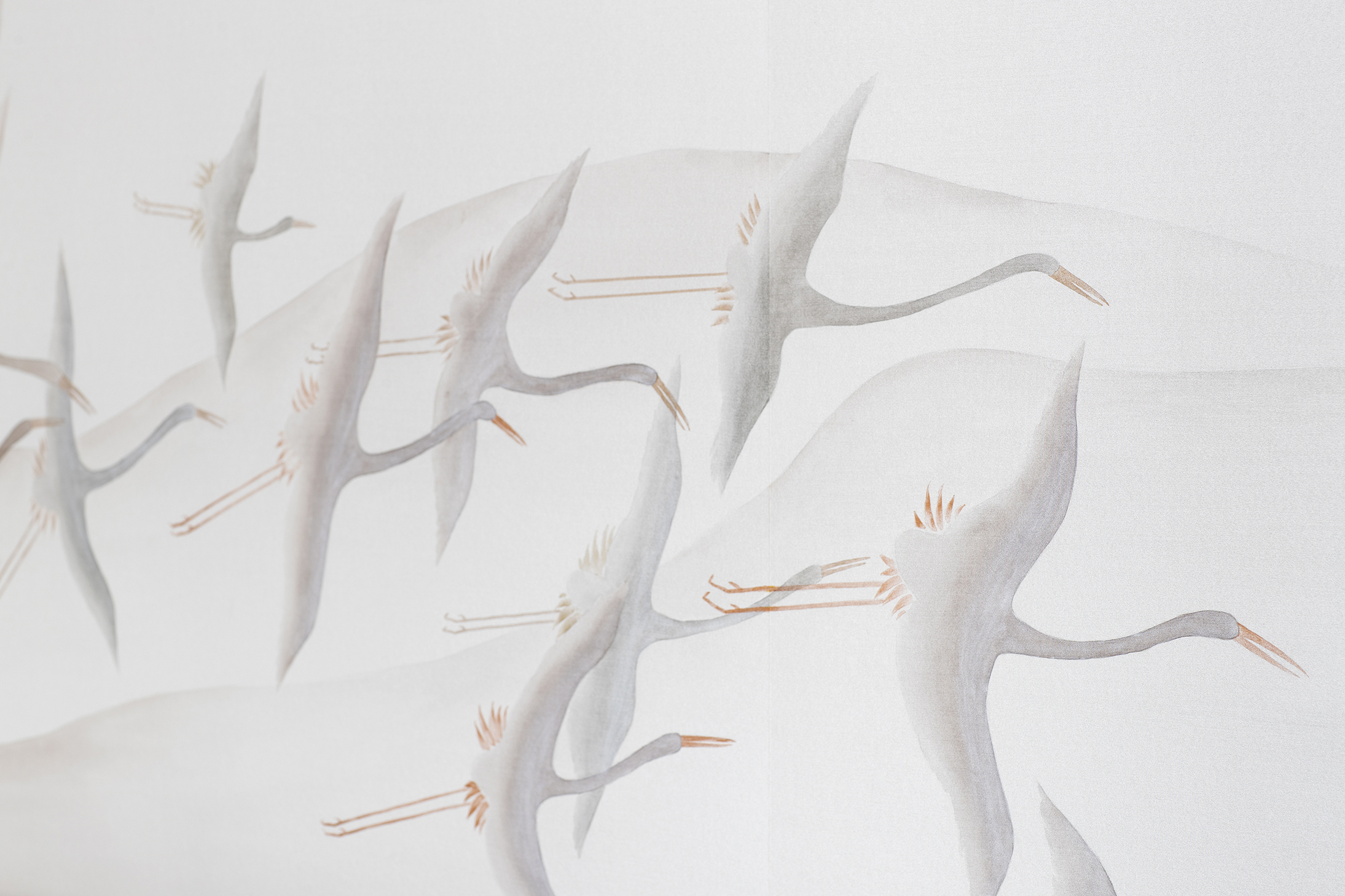 Swiss Medical Competence